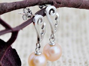 天使之翼时尚珍珠耳坠 批发采购指南，型号E0144解析